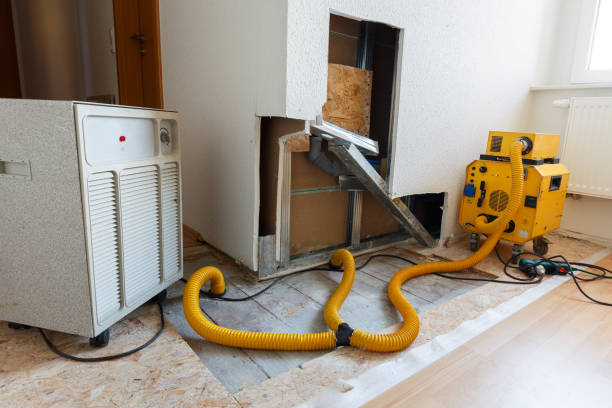 Best Mold Removal for HVAC Installations  in Trinidad, CO